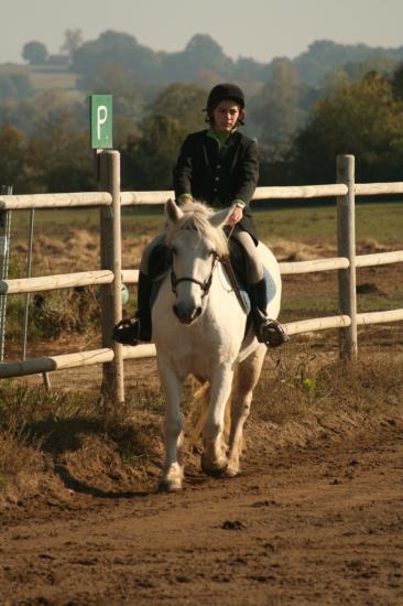 Club de dressage ipo be